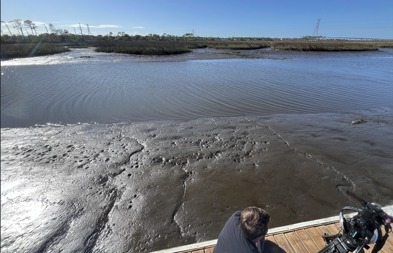 Exposed mudflats and sediment at low tide in Hogpen Creek viewed from residential dock
